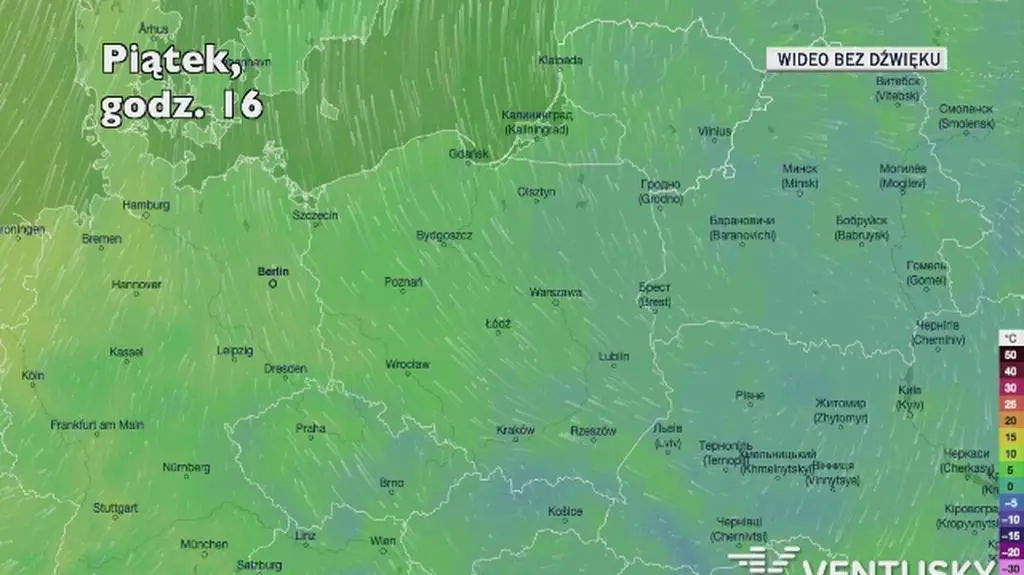 Prognozowana temperatura w kolejnych dniach (Ventusky