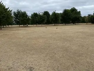 Hyde Park w Londynie