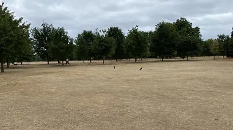 Tak suchego lipca w Anglii nie było od 1935 roku