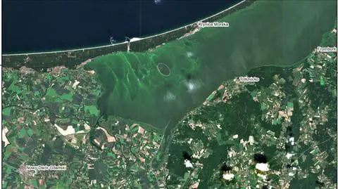 Zakwity sinic na Zalewie Wiślanym, 27.06.2022