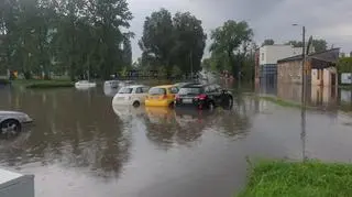 Zalany Sosnowiec