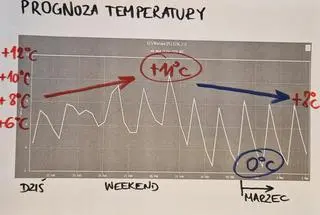 Prognoza temperatury na kolejne dni dla Warszawy