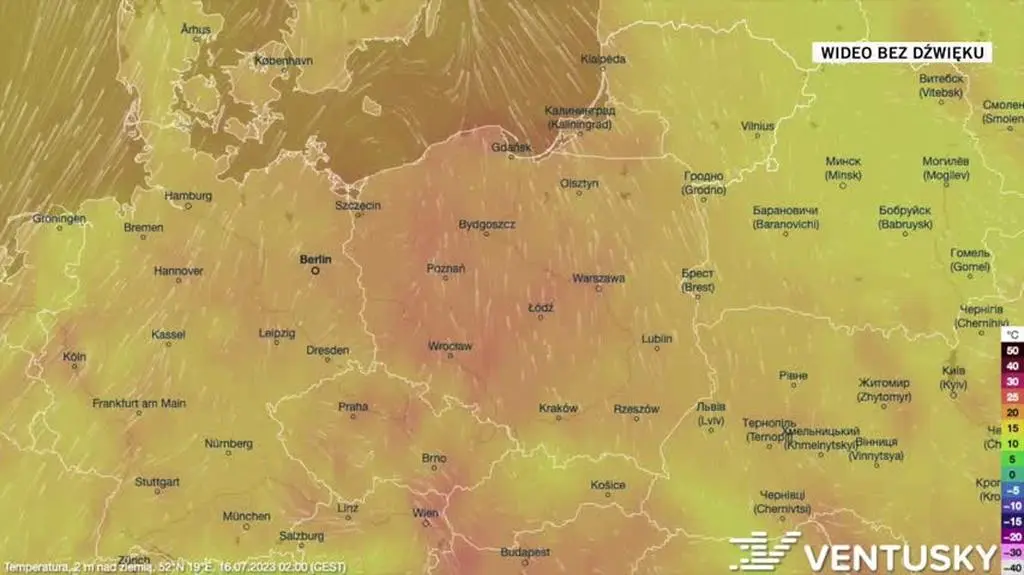 Prognozowana temperatura w kolejnych dniach
