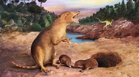 Brasilodon quadrangularis, koncepcja artystyczna