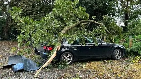 Tysiące domów bez prądu, zerwane dachy. Burza Agnes uderzyła w Wyspy Brytyjskie
