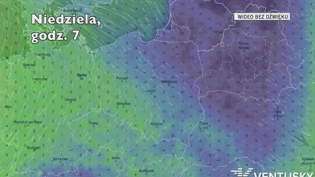 Temperatura w ciągu najbliższych pięciu dniu (Ventusky