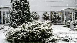 Wejherowo pomorskie pierwszy śnieg