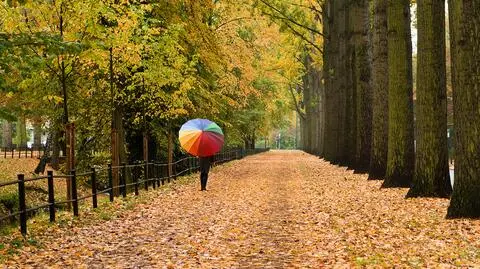 Połowa kraju będzie deszczowa