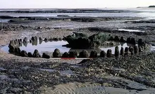 Odsłonięty fragment kręgu "Seahenge"