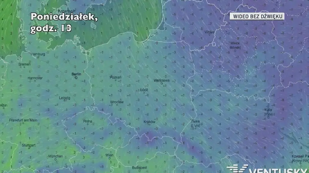Temperatura w kolejnych dniach (Ventusky