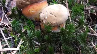 437727768_8094063893956062_6873276344866208282_n