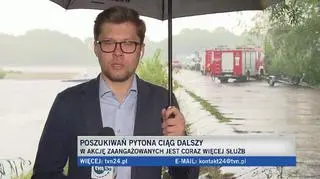 Pogoda utrudnia poszukiwania pytona nad Wisłą