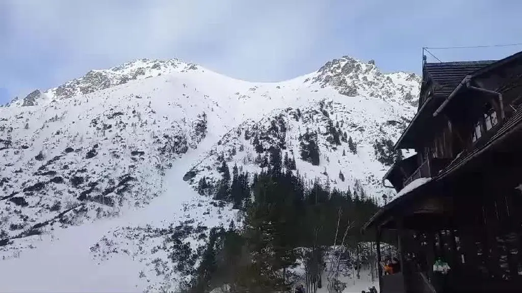 1579766462845620 HD