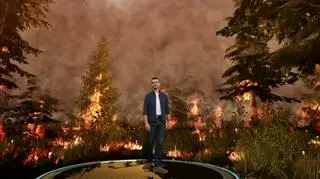 Co się dzieje z lasem w czasie pożaru
