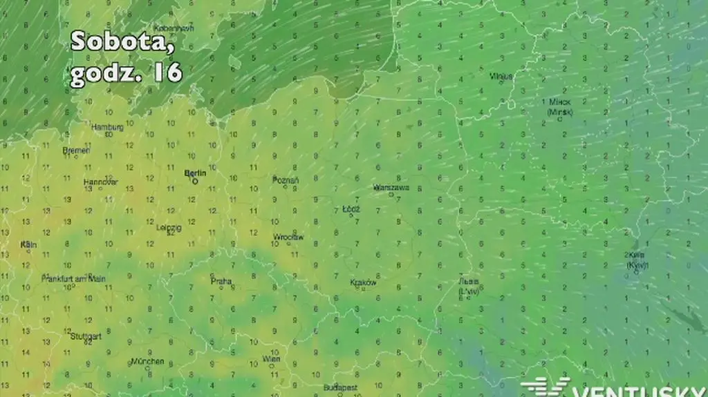 Temperatura w ciągu najbliższych pięciu dni (Ventusky