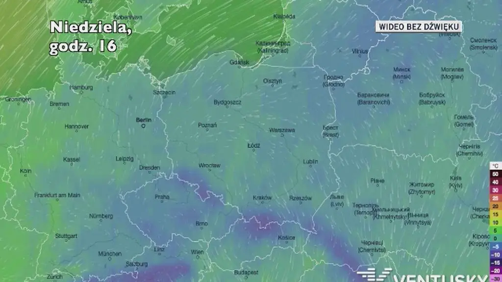 Prognozowana temperatura w kolejnych dniach (Ventusky