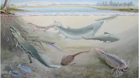 Ta prehistoryczna ryba zjadała naszych przodków