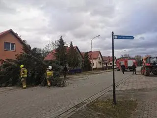 Strażacy usuwali gałęzie blokujące drogi