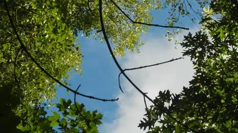 Jeżeli gdzieś popada, to słabo i przelotnie