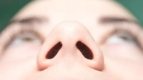 Węch