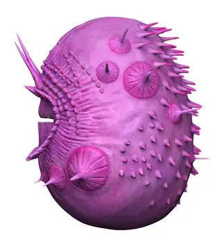 Saccorhytus coronarius - wizualizacja
