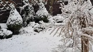 Zima w powiecie krasnostawskim