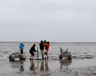 Poszukiwania kościoła w Rungholt podczas odpływu