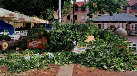 Konar drzewa spadł na namiot pełen ludzi