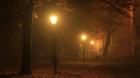 Alerty IMGW. Niebezpieczna jest mgła, potem zagrożenie może stanowić wiatr