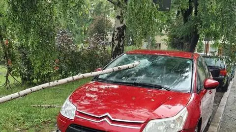 Zniszczenia po piątkowej burzy w Opolu