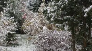 Pierwszy śnieg