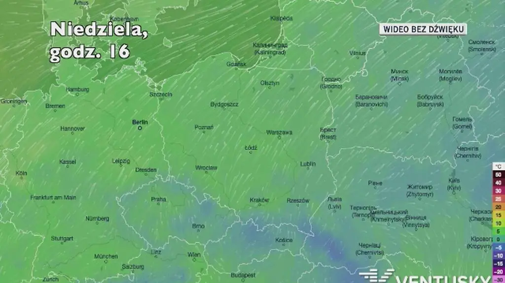 Temperatura w ciągu kolejnych dni (Ventusky