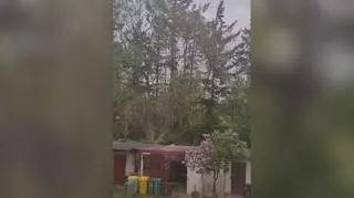 Wichura w miejscowości Rymań (Zachodniopomorskie)