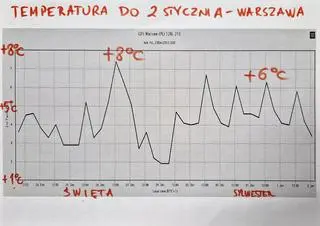 Wykres prognozowanej temperatury