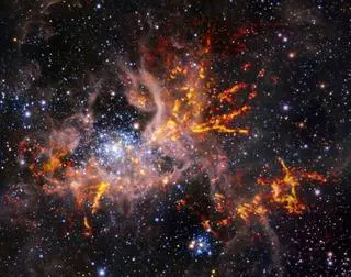 Mgławica Tarantula na zdjęciu radiowym i w podczerwieni