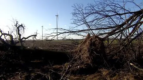 Dobrzyca po przejściu trąby powietrznej. "Każdy stuk w nocy nas przeraża. Wszyscy mają tragedię"