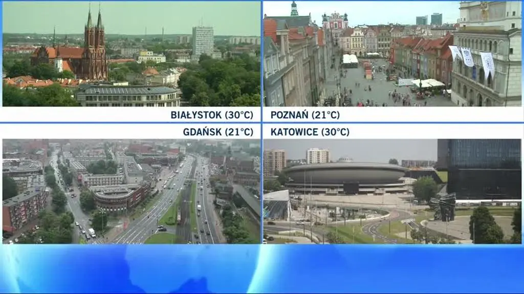 Dziecko lub zwierzę w rozgrzanym samochodzie - jak reagować?