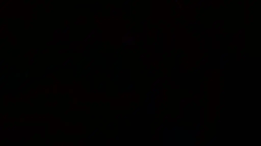 Rozmowa z Justyną Wolną