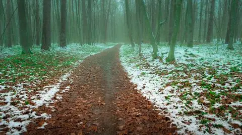 Pochmurno, lekki śnieg, jesień