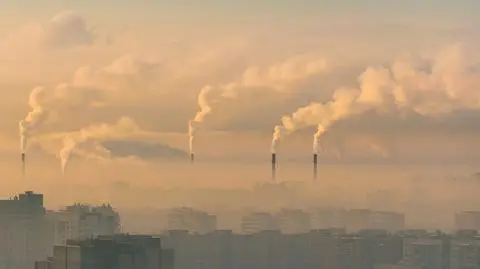 Kolejne złe wiadomości dotyczące smogu. Oddychanie nim uszkadza kości