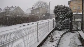 Śnieżny gwizd