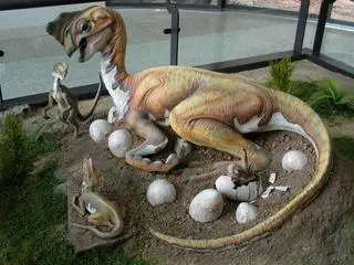 Owiraptor ze złożonymi jajami - wizualizacja