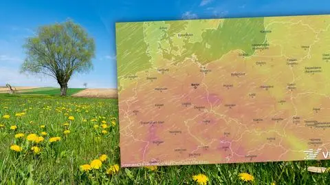 Będzie blisko upału. Prognoza pogody na najbliższe dni