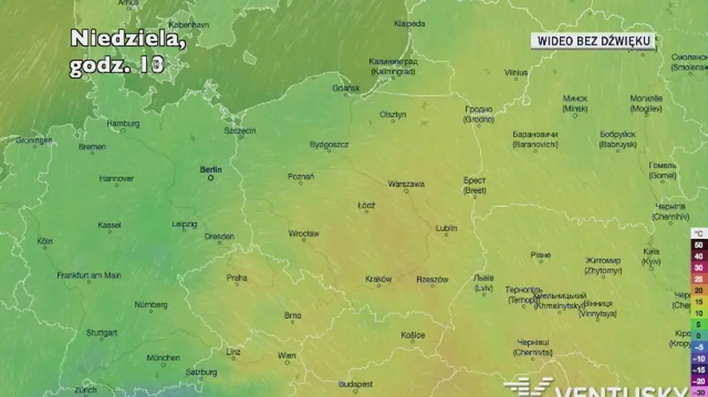 Prognozowana temperatura w najbliższych dniach