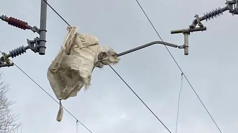 Torba zwiana na trakcję przez orkan Pia