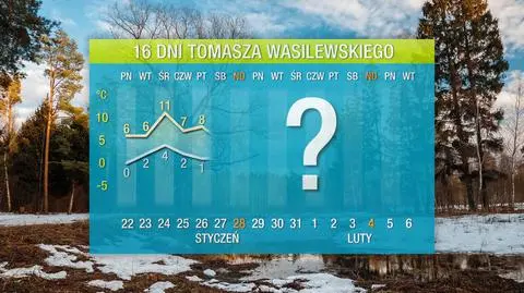 wasyl 16