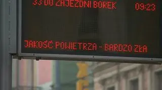 Najgorsze powietrze w Europie. "Sytuacja poprawi się w przyszłym tygodniu" (materiał Faktów TVN)