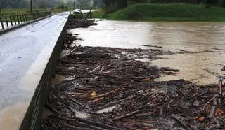 Cyklon Hale nad nowozelandzką prowincją Gisborne