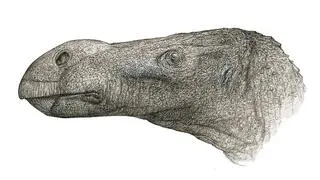 Iguanodon Brighstoneus simmondsi