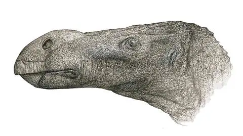 Brighstoneus simmondsi